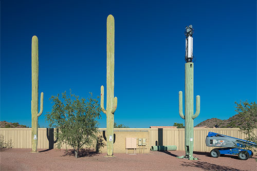 Three Saguaros, Phoenix, AZ