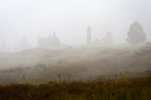 On the Flanks of Mauna Kea, Waimea, HI (2026)